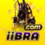 iibra Mega v5.4.6